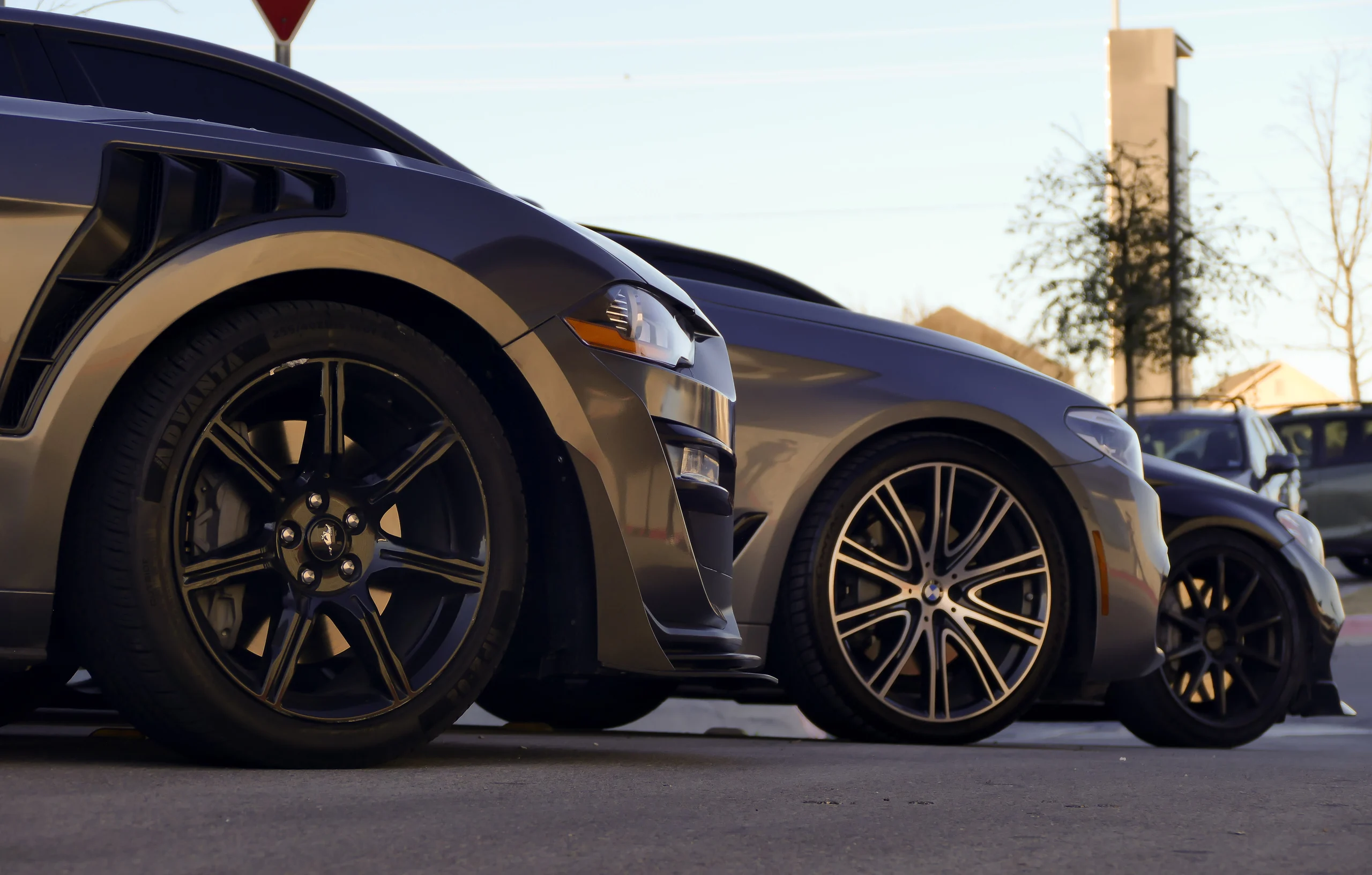 Performance cars lined up in warm evening light